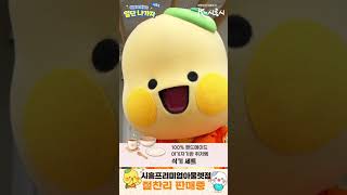 봄맞이 아이템, 절찬리 판매중