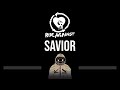 Rise against  savior cc upgraded  karaoke instrumental lyrics