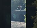 Fishing Erie Canal