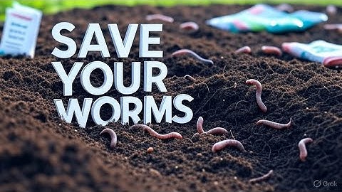 5 Gardening Mistakes That Kill Earthworms in Raised Beds Fix These Now!