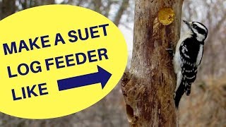 How to Make a Suet Log Feeder 2018