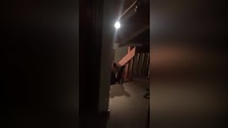 man discovers a family of bears inside his home in the middle of the night
