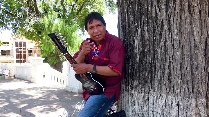 Alfredo Coronado - Vidalita (NUEVOS EXITOS 2020)