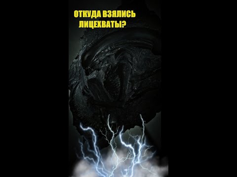 Откуда взялись лицехваты
