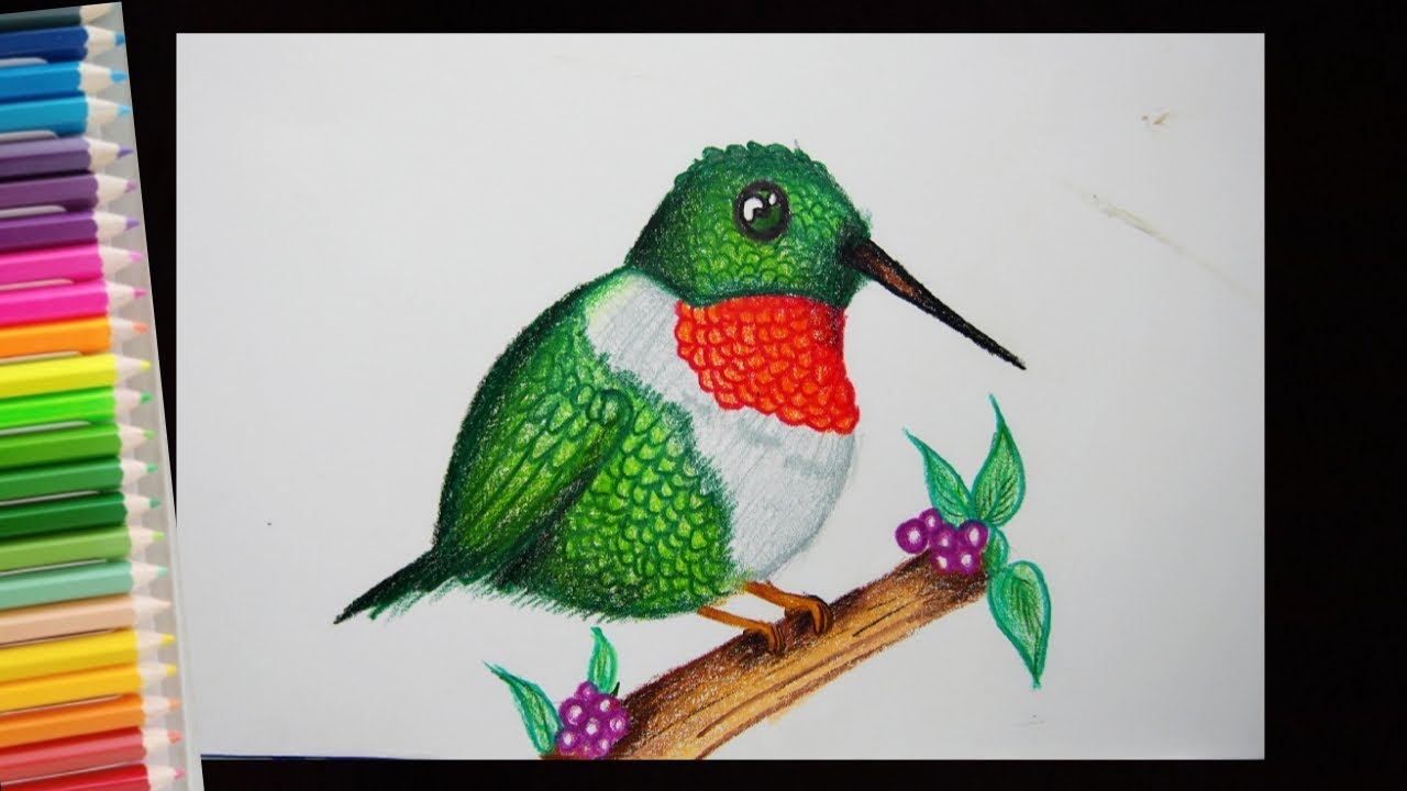 วาดรูปนก (สีไม้) |How to draw Bird -Easy Draw - YouTube