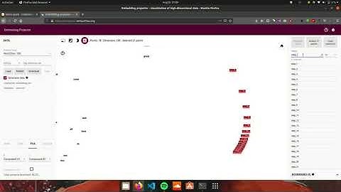 Deep Dream Embedding Visualized!