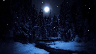 Owls hooting and a gentle stream flowing in the night screenshot 4