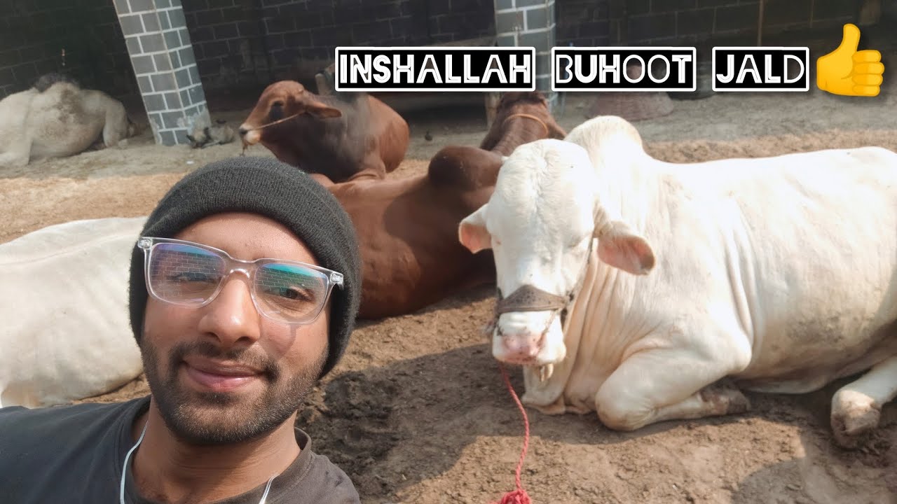 Inshallah Buhoot jald | talishkhan lifestyle 