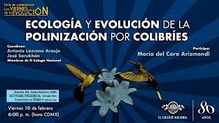 Ecología y evolución de la polinización por colibríes | Ciclo: Los viernes de la evolución