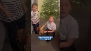 best present ever #shorts #dogslife #puppylife