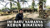 Rute Perbaungan Kebun Binatang R Zoo Park Pegajahan Youtube