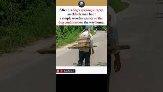 Elderly Man Builds Carrier for His Dog After Surgery 🥹❤️ #dog #elderly #surgery #emotional
