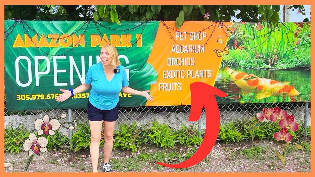 Amazon Park. An place with Orchids and exotic plants