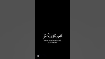 تلاوة من سورة هود جميلة للقارئ أنس الجبري -surat hod-Anas al -gabry