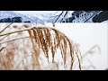 『新曲』 雪の砂時計 / 丘みどり cover / teruchan