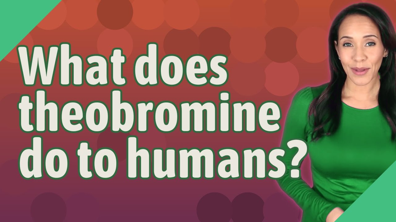 View of What does theobromine do to humans? - YouTube