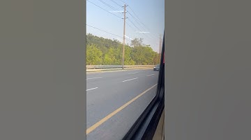 POV: This Is My Daily Commute 🚌🌲