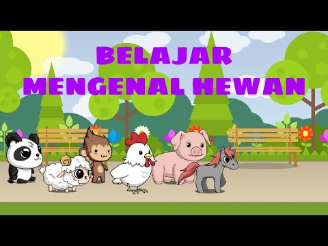 Belajar Mengenal Hewan  dan Bahasa  Inggrisnya  Animasi 