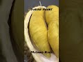 #猫山王 #musangking #freshdurian 新鲜猫山王榴莲 亮黄色果肉 味道香浓 肉质细嫩 果王中的王