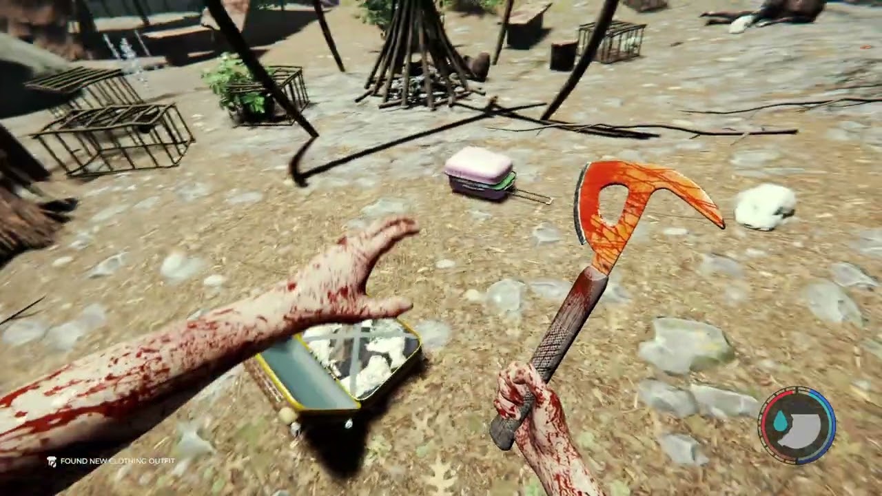 Walking in the woods with a Rabbit