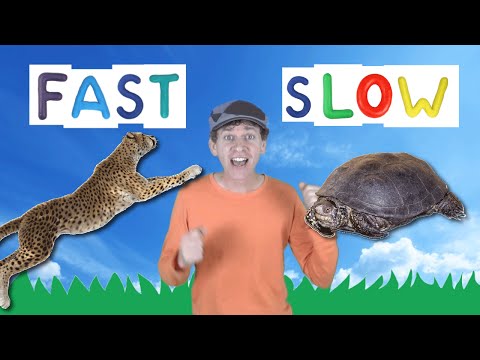 Fast Slow Action Song for Kids | Learning Opposites | Learn English Children