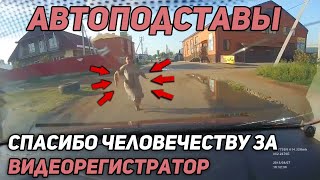 Автоподставы на Дороге🚨Неадекватные водители и пешеходы#1