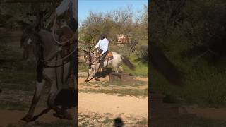 Spooking at an object on the trail #applythemethod