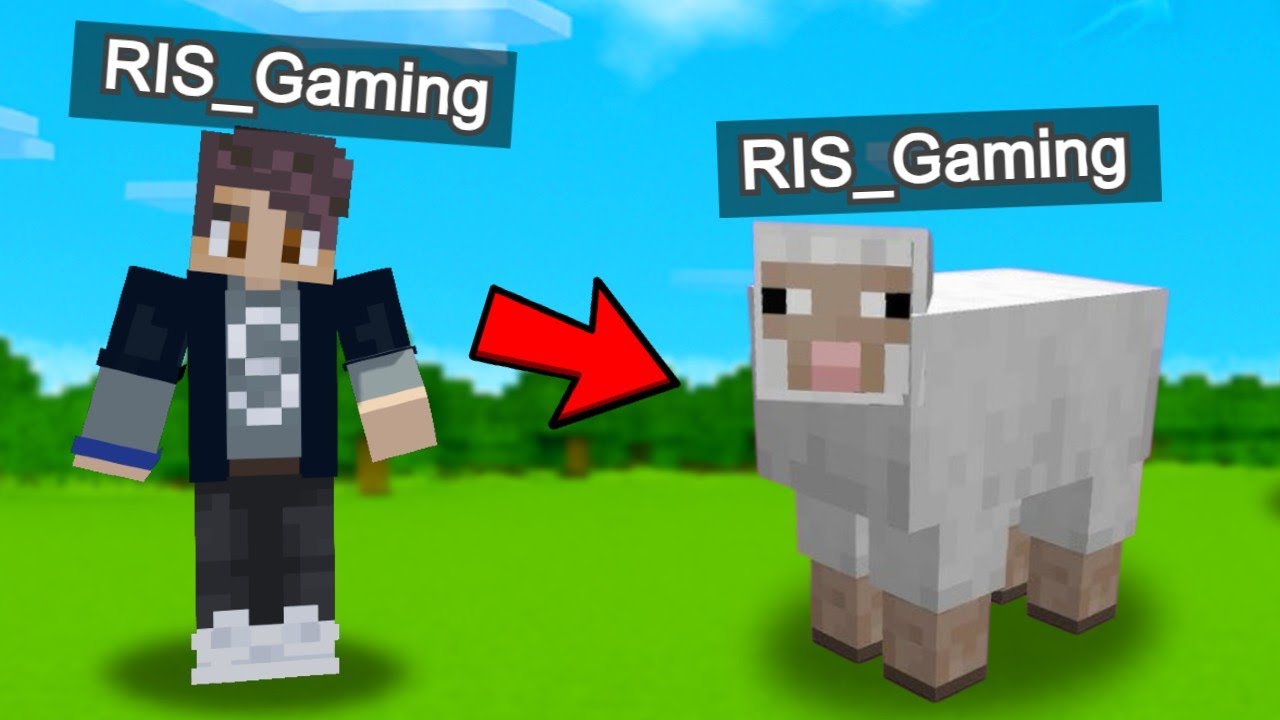 আমি কিভাবে Sheep হয়ে গেলাম 😢 | Ris Gaming