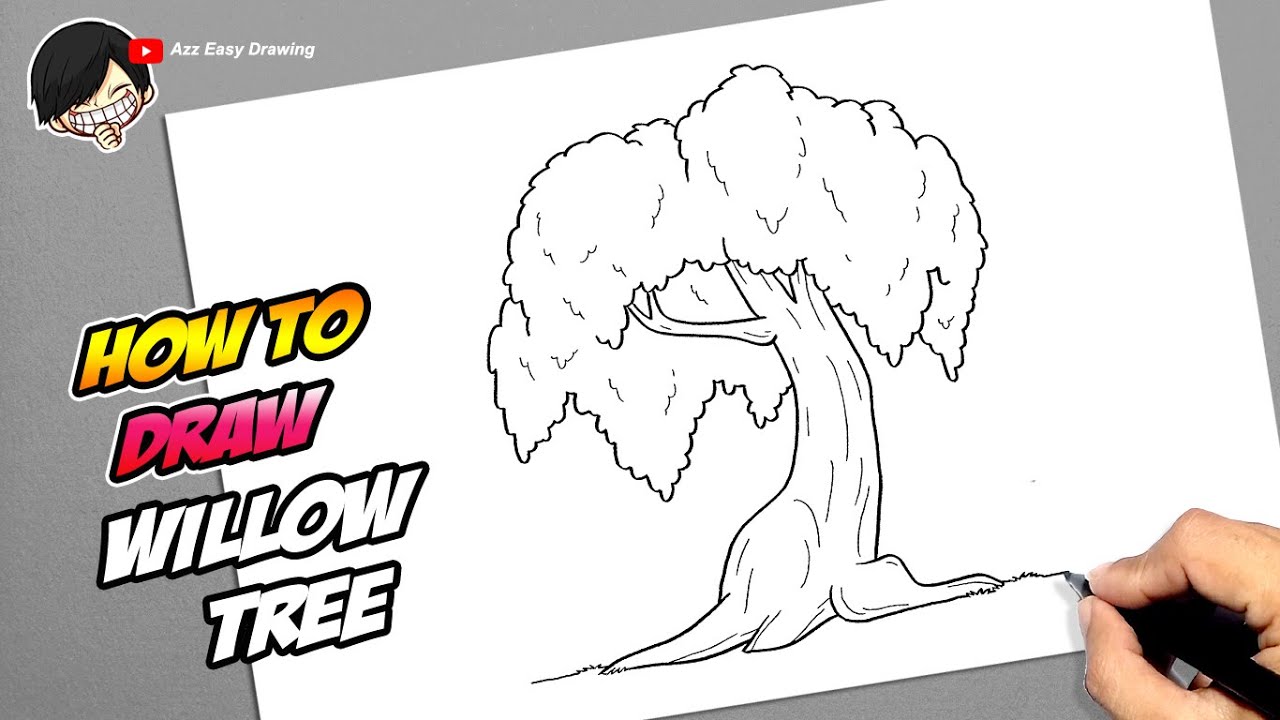 Weeping Willow Tree Drawing  Drawing Skill