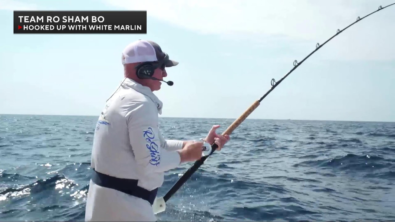 Day 1 White Marlin Open Pre Show- 2023 Sport Fishing Championship 