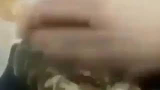 Hmmm yes pet the phroge