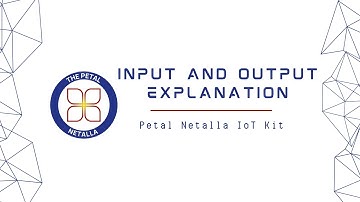 The Petal Netalla IoT Kit: Input & Output Explanation