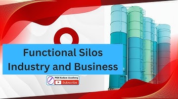 Functional Silos in Industry and Business