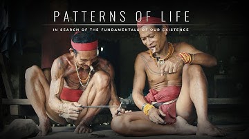 PATTERNS OF LIFE - TEASER