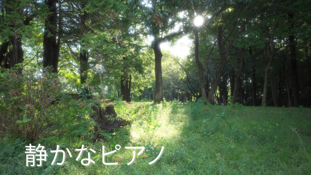 淡い緑が目覚めるころ｜眠りと癒しの静かなピアノBGM｜60分｜TORA Photo & BGMsound