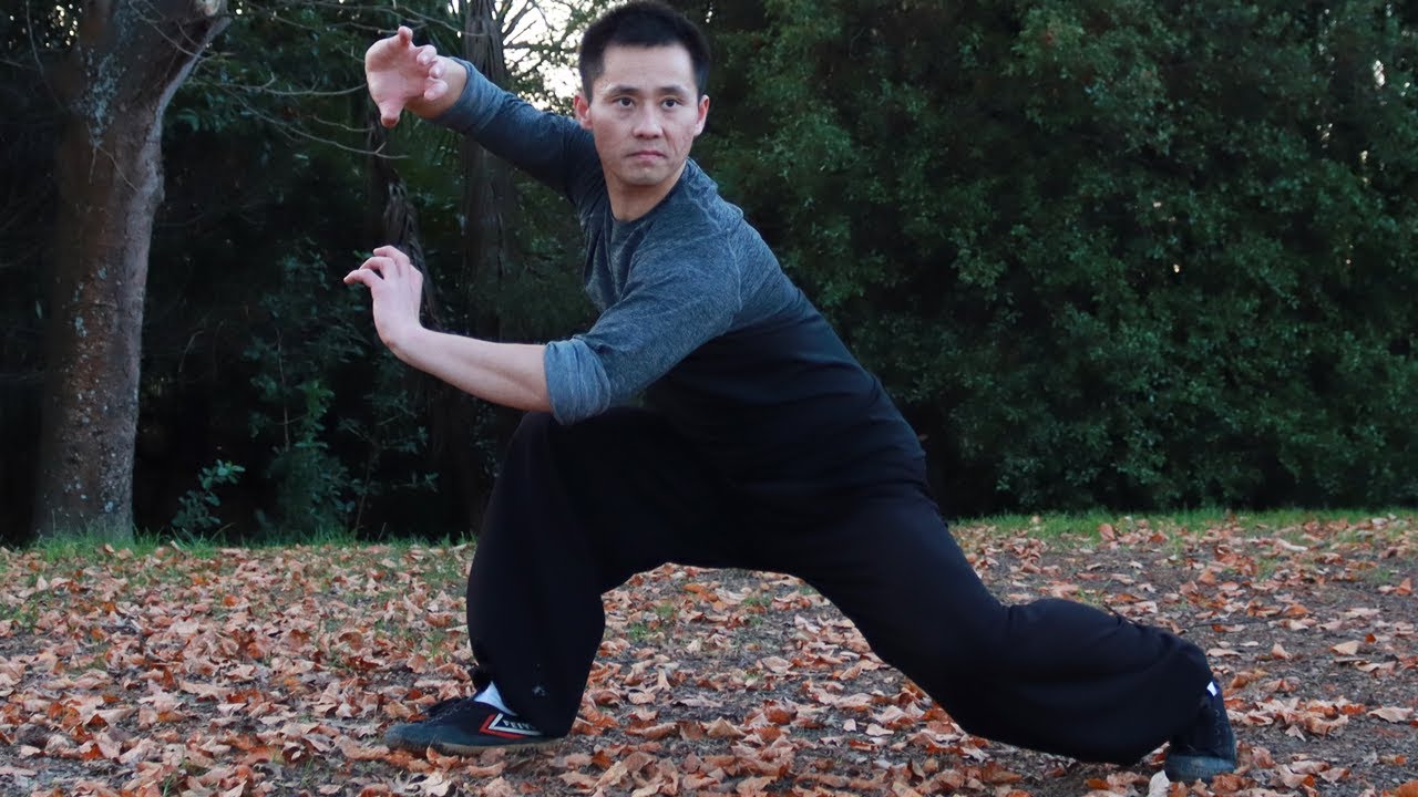 Kung Fu Tiger Style Tutorial