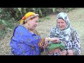 Reportage sur les femmes kabyles alma y tiri qui ont fait revivre les pratiques ancestrales kabyle