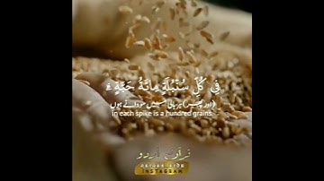 سورة البقرة: ٢٦١|Al Baqarah:261|طارق محمد|Tareq Mohammed|قرآن اردو ترجمہ|Quran Urdu Eng Translation