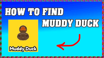 HOW TO FIND MUDDY DUCK in FIND THE DUCKS ROBLOX ! 🦆