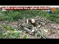 விவசாயிகள் எடுத்த அதிரடி முடிவு.. அரசு உதவ விவசாயிகள் கோரிக்கை | Farmers | Palani | Sun News