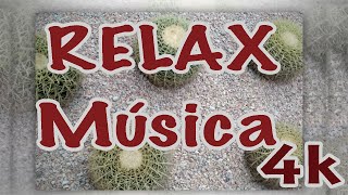 RELAX MUSICA RELAJACION música relajante para aliviar estrés meditar IMAGENES 4K MUSIC 2020 COVID-19