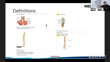 Learning Anatomy 101