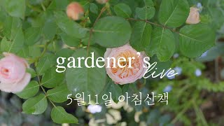 5월의 정원 라이브 Good morning! Garden live tour 5/11