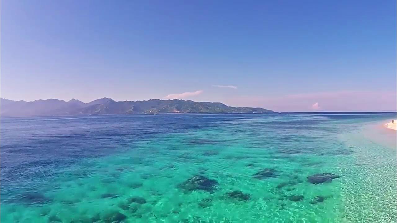 Коралловое море фото
