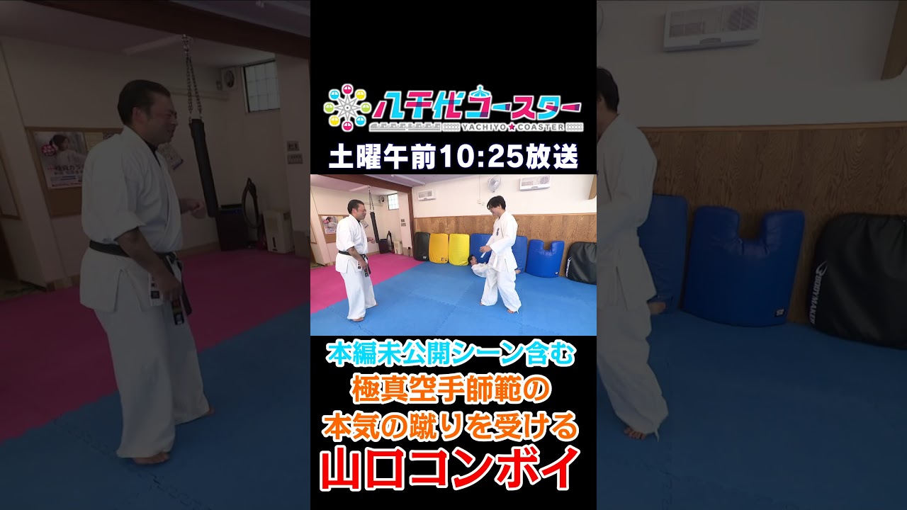 極真空手師範の本気蹴りを受けるコンボイ