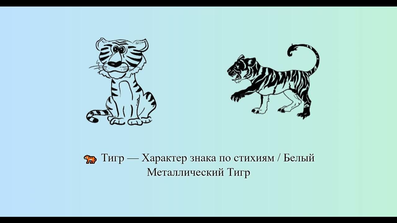 Характер тигра. Характер тигрицы. Про уссурийского тигра красная книга. Самое редкое животное амурский тигр. Тигр красная книга.