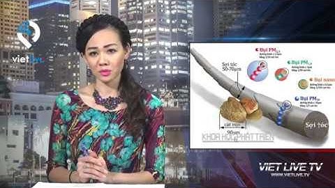 Không khí ở Việt Nam: Phát hiện bụi nano có thể “đầu độc” DNA