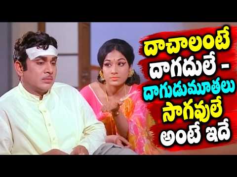 దాచాలంటే దాగదులే - దాగుడుమూతలు సాగవులే అంటే ఇదే - ANR, Vanisri Best Comedy Scenes
