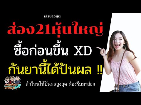 ส่อง 21 หุ้นใหญ่ ซื้อก่อนขึ้น XD กันยานี้ได้ปันผล | Money Hero
