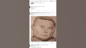 马斯克发推文：tau ＞ pi ?